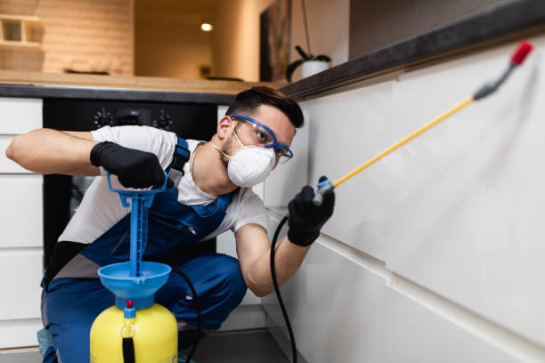 Professional Pest Control in Ridley Park, PA