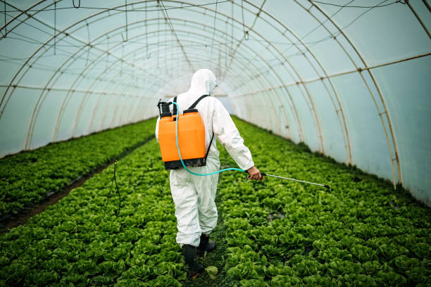 Best Pest Inspection Near Me  in Ridley Rk, PA
