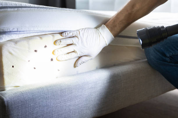 Best Affordable Pest Control Services  in Ridley Rk, PA